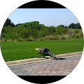 Tatiana W. Avatar